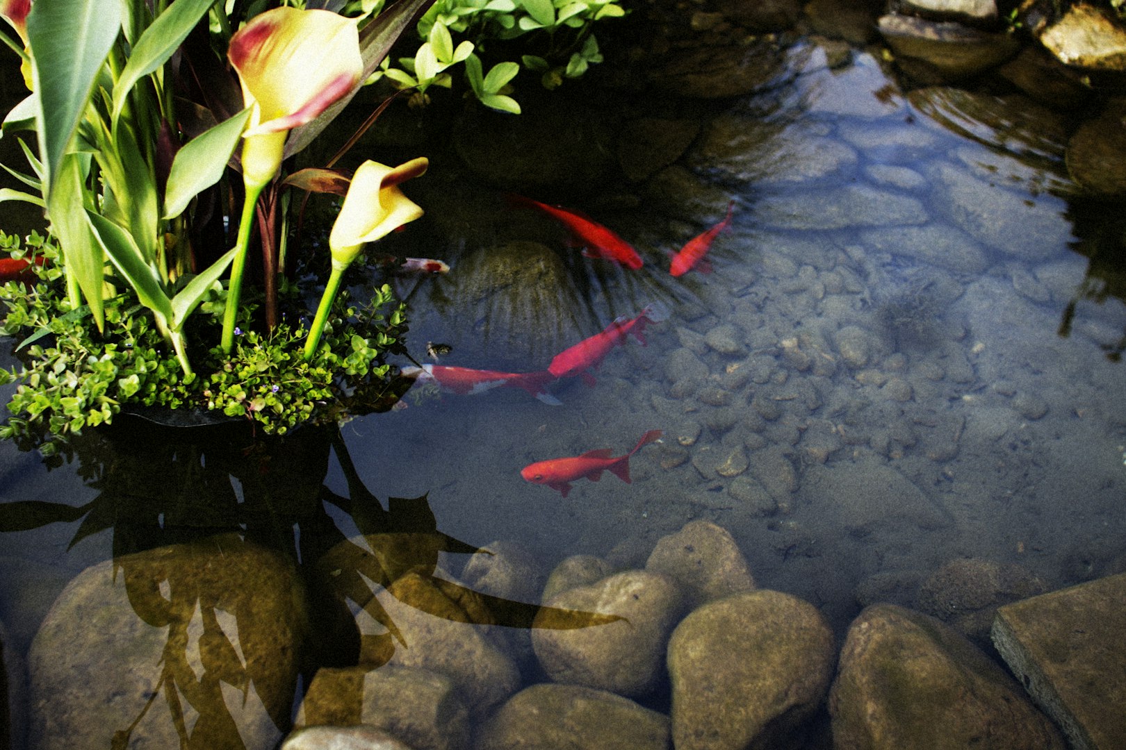An ecologist in protective gear collects water samples from a natural setting highlighting the importance of environmental research.